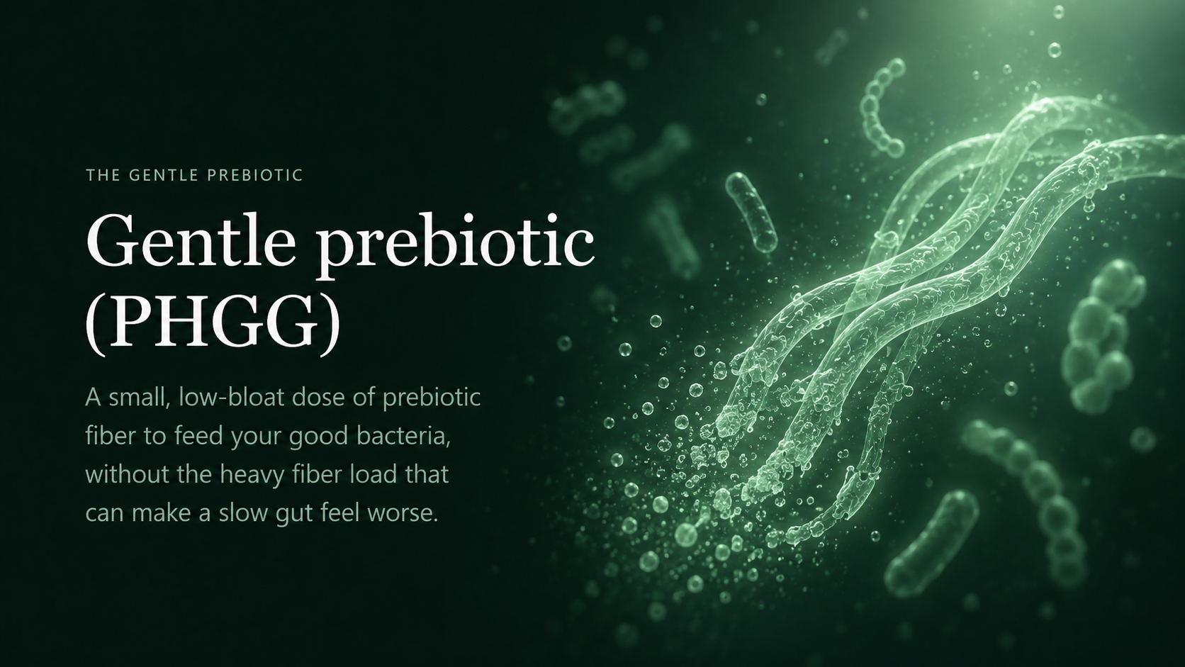 Gentle prebiotic (PHGG) — a small, low-bloat dose of prebiotic fiber to feed your good bacteria.